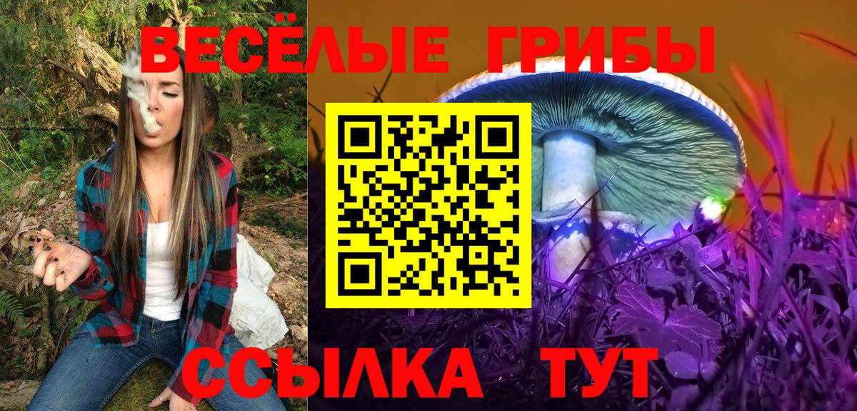 Галлюциногенные грибы Cubensis Саяногорск