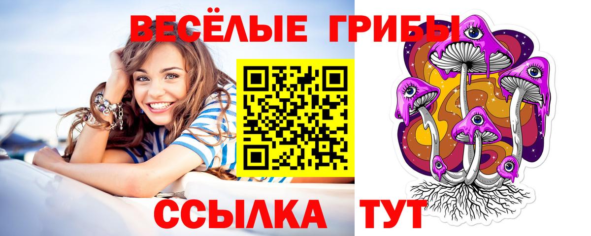 Галлюциногенные грибы мухоморы  Галлюциногенные грибы Magic Shrooms  Саяногорск  Вход с VPN 