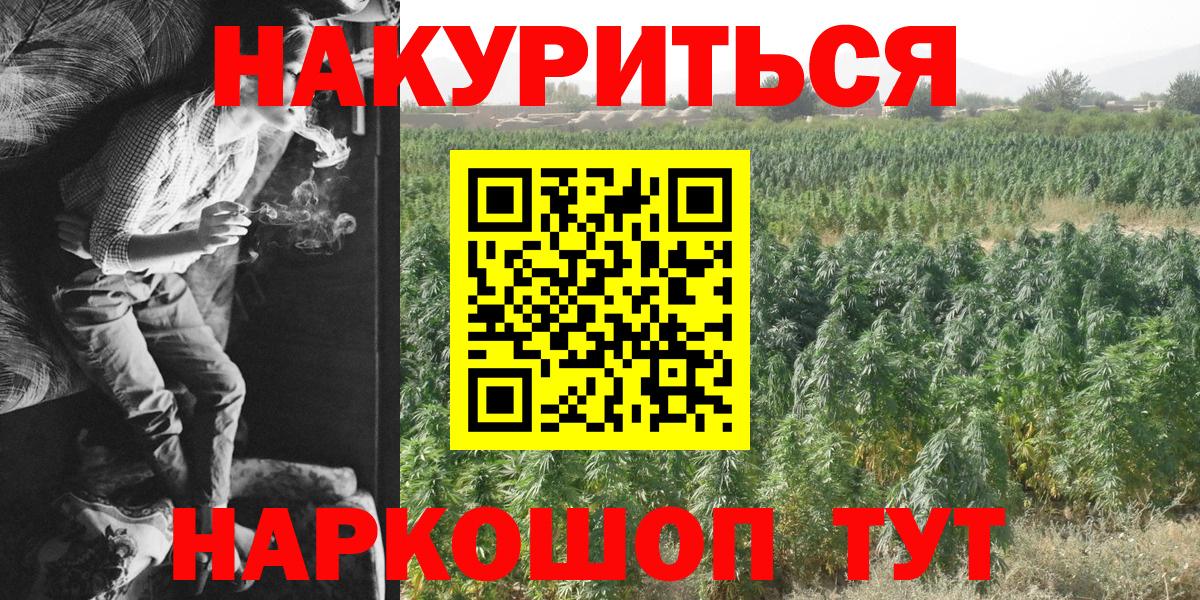 Конопля ГИДРОПОН Саяногорск